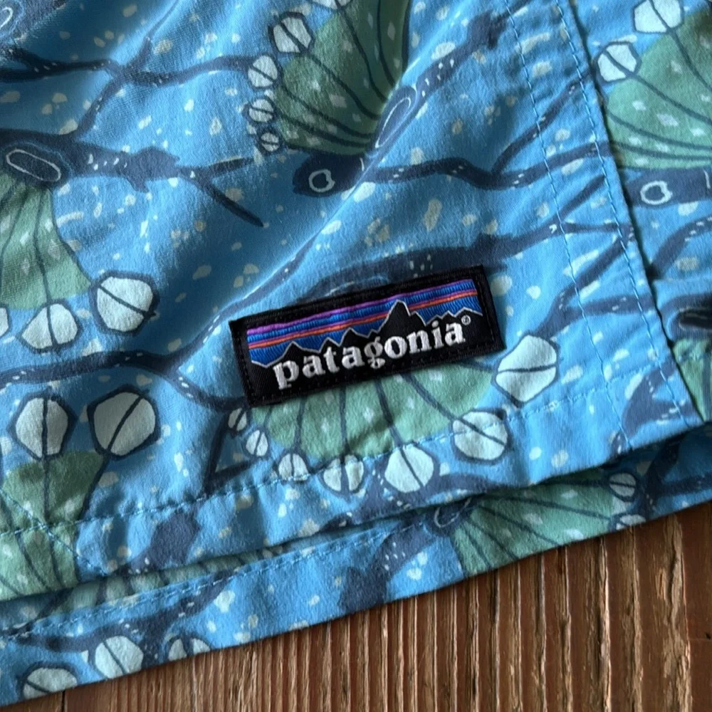 Patagonia Men's Baggies Shorts Hexy Fish Radar Blue small